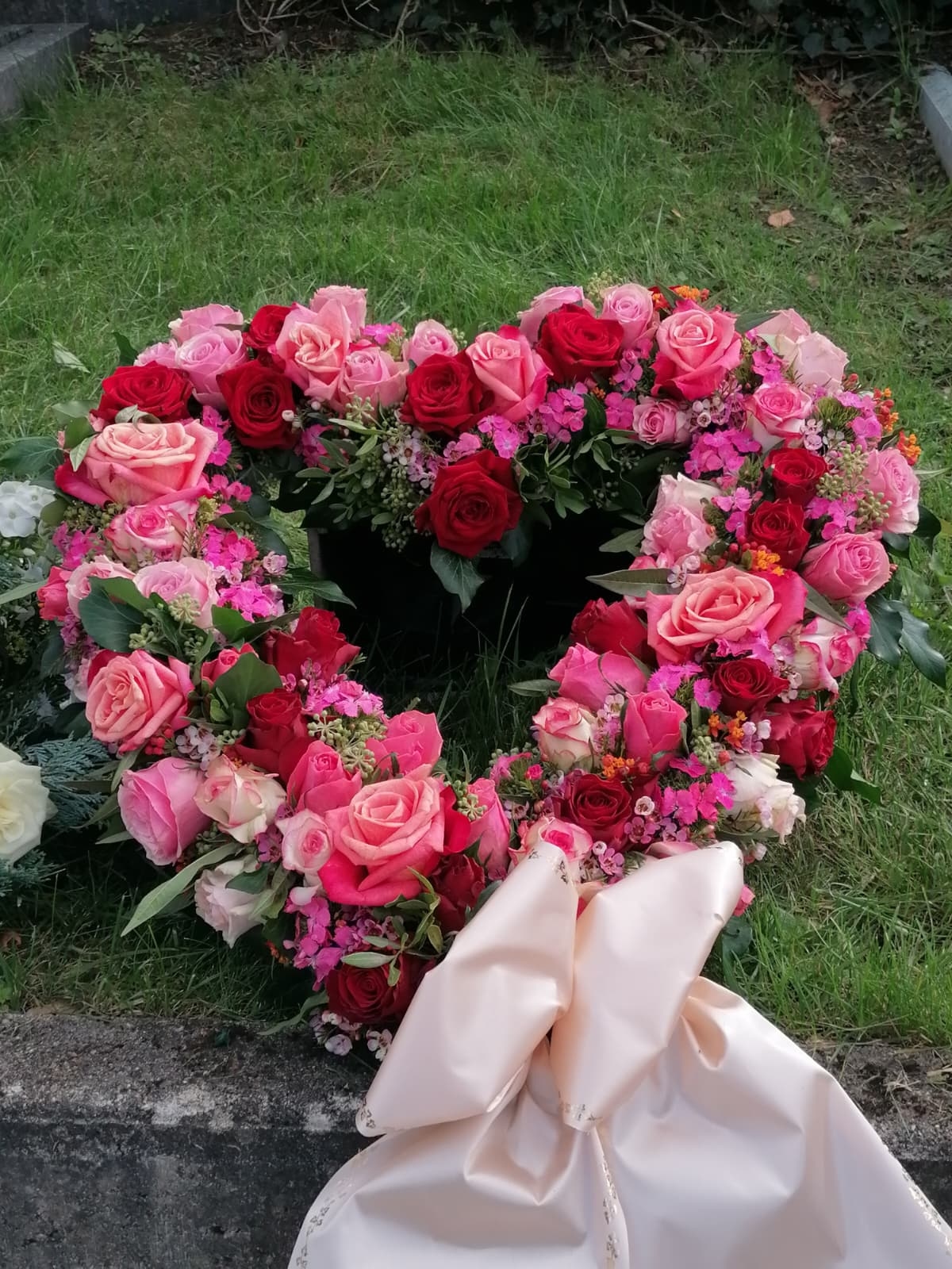 Offenes Blumenherz für eine Beerdigung aus rosa und roten Rosen mit einer großen pfirsichfarbenen Schleife auf einer Grabstätte.